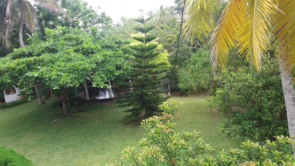 4 Seasons Guesthouse هيكادوفا المظهر الخارجي الصورة
