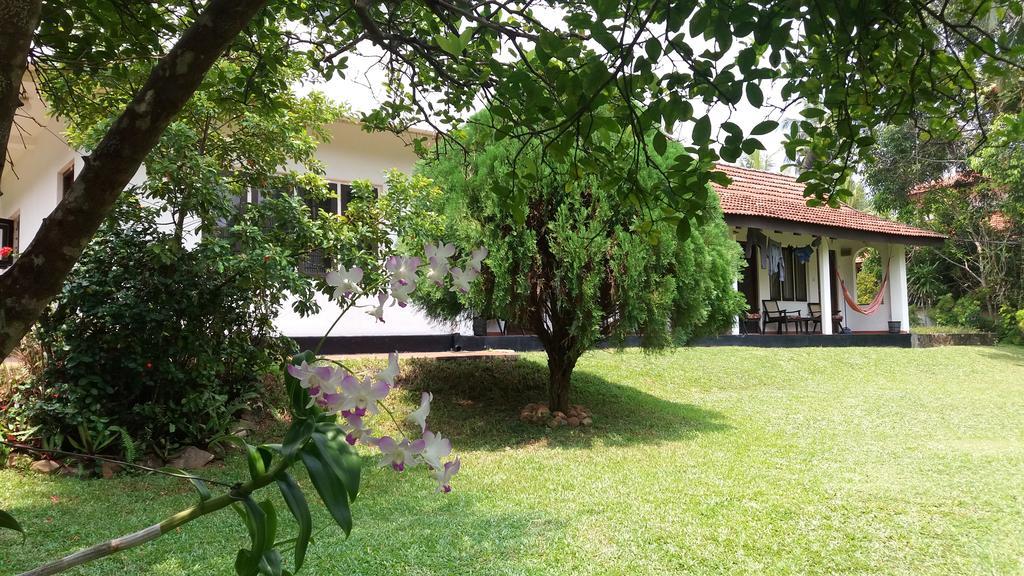 4 Seasons Guesthouse هيكادوفا المظهر الخارجي الصورة